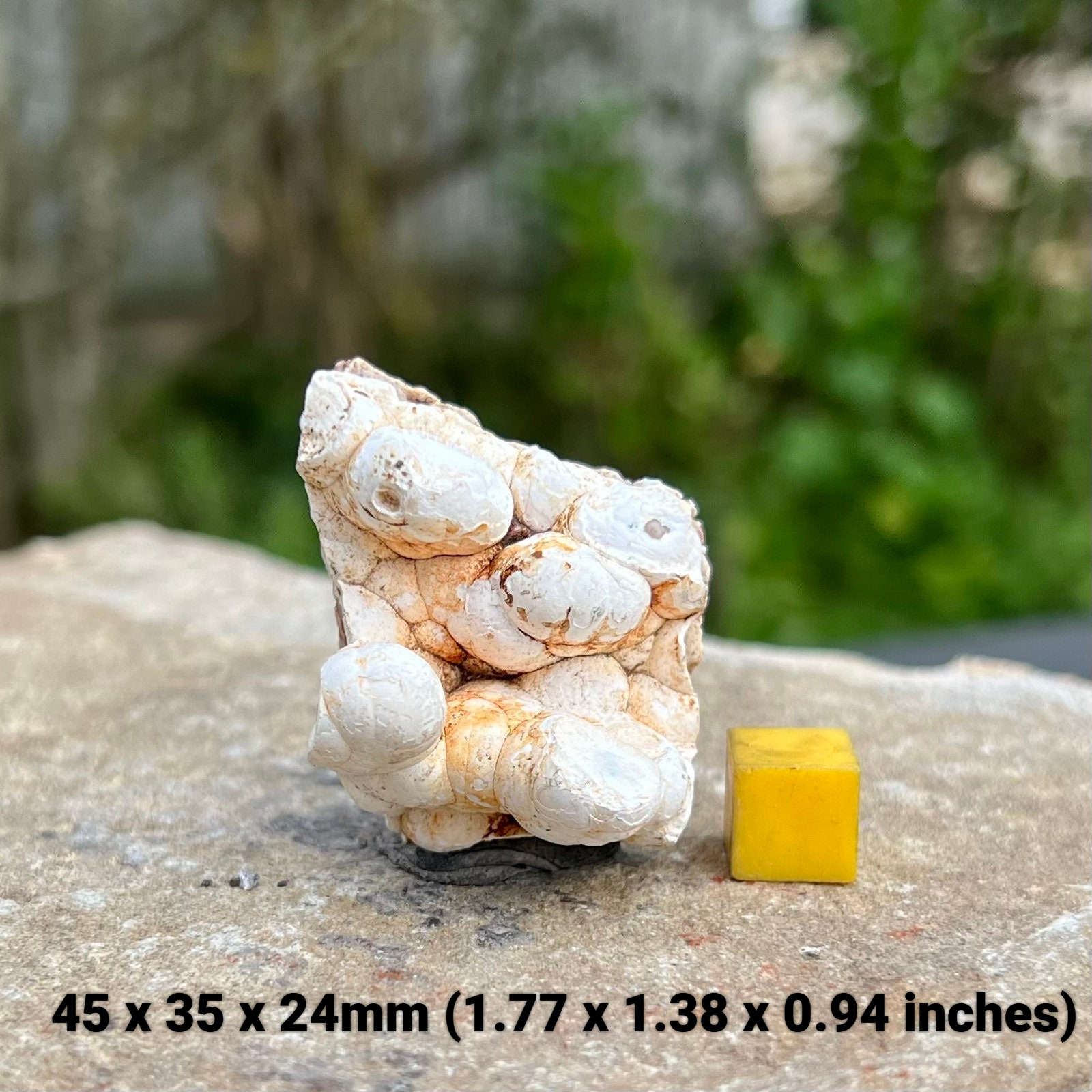 Crystals - (Chalcedony Stalactitic Crystal – Unique Mineral Specimen –  Java, Indonesia – Genuine Polished Formation with Certificate) - My Lost  Gems